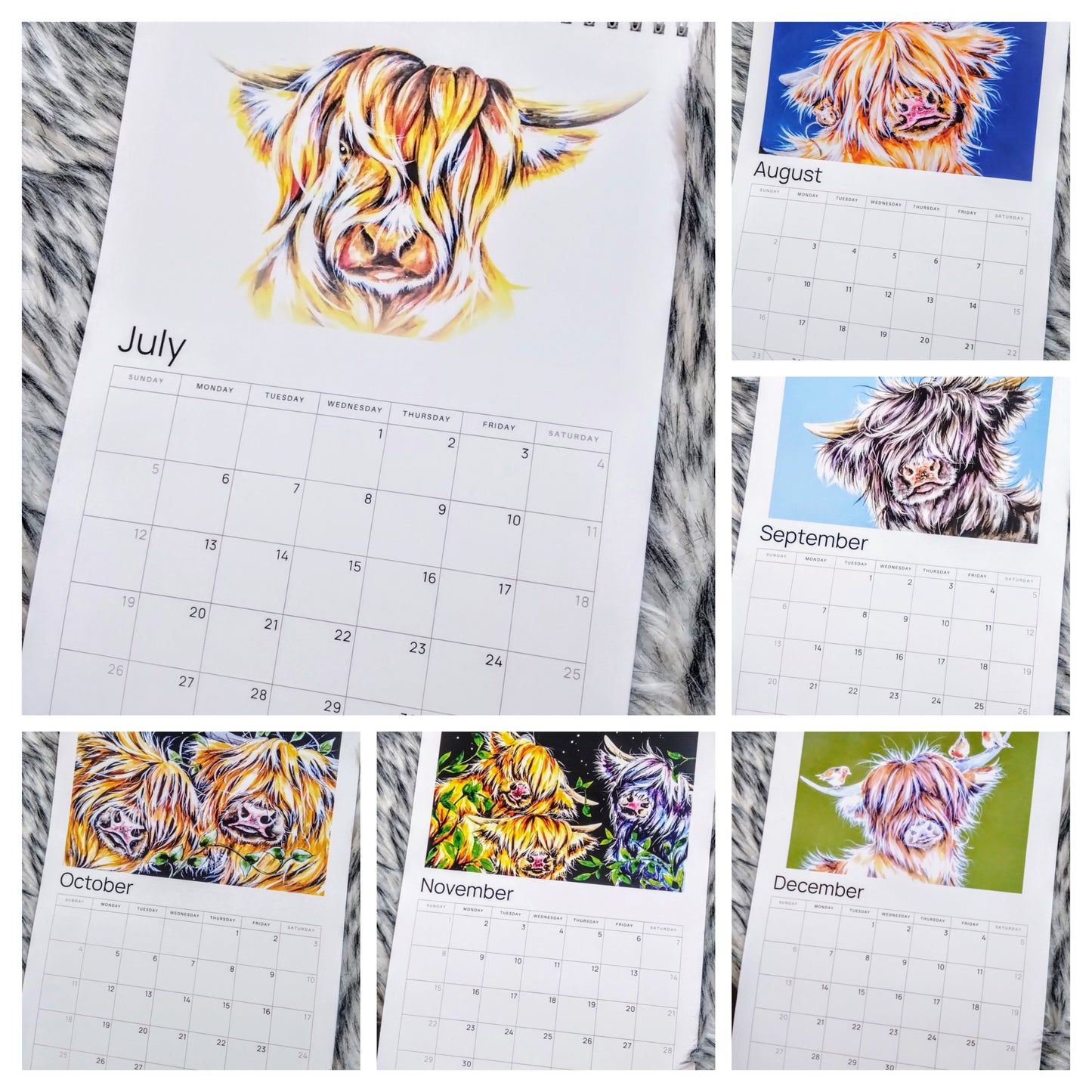 2026 Highland Cow Calendar