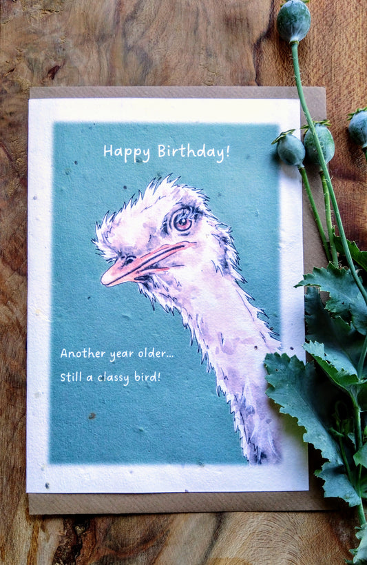 Another Year Older...Still a Classy Bird! Wildflower Seed Card