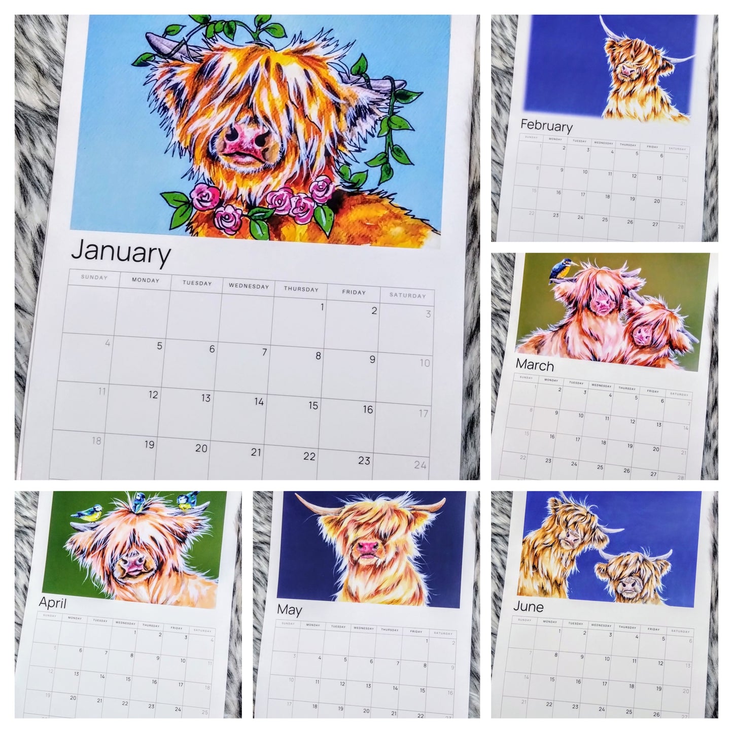 2026 Highland Cow Calendar